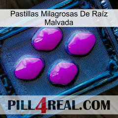 Pastillas Milagrosas De Raíz Malvada 04